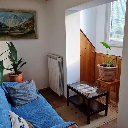 Apartmaji Stari Kovac Bovec Luaran gambar