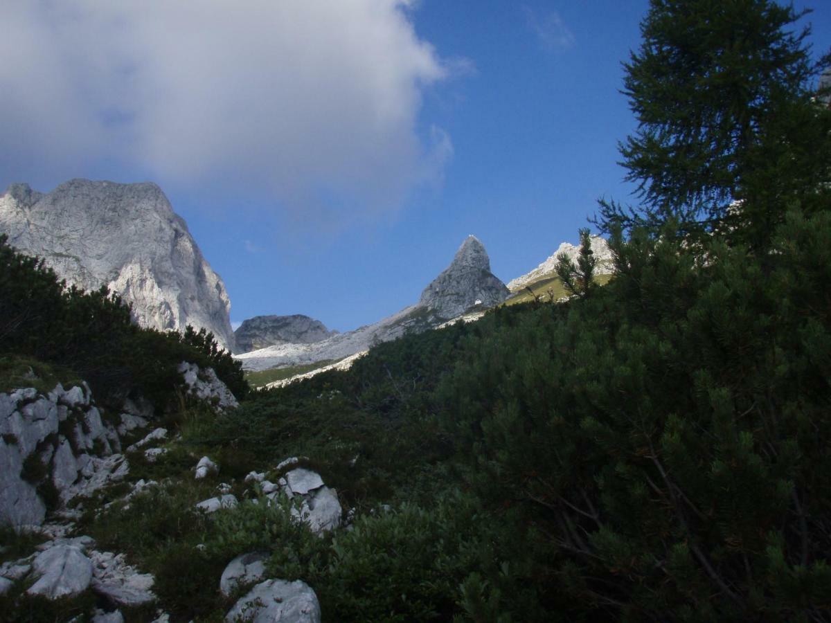 Apartmaji Stari Kovac Bovec Luaran gambar