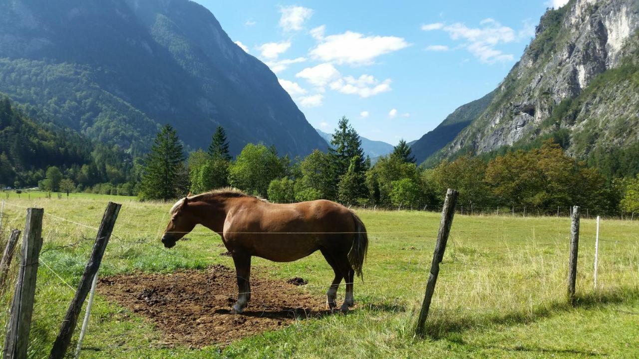 Apartmaji Stari Kovac Bovec Luaran gambar